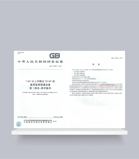 國標-1kV以上不超過35kV的通用變頻調(diào)速設備第1部分技術(shù)條件